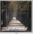 /album/photo-gallery-canvas-uri/decoratiuni-de-perete-canvas-lc-0288-jpg/
